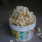 a bucket full of shavings