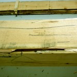damaged cedar lumber