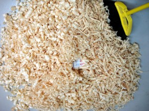photo of a pile of wood shavings